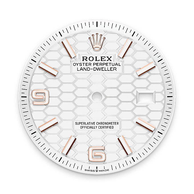 Rolex Product Banner