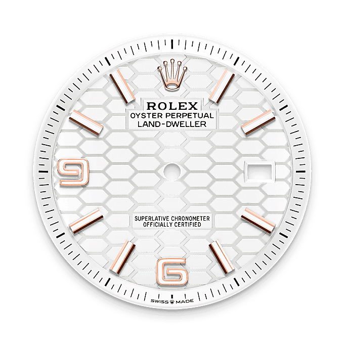 Rolex Product Banner 
