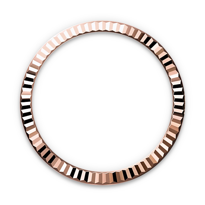 Rolex Product Banner 2